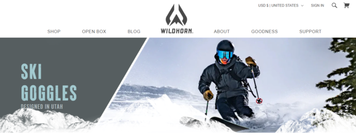 Wildhorn Ski Goggles Review